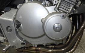HONDA HORNET 250 2024 MC31