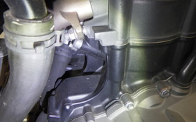 TRIUMPH TRIDENT 660 2022