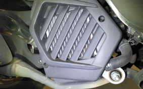 HONDA TACT Basket 2010 AF79