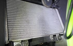 KAWASAKI NINJA 250 2009 EX250L