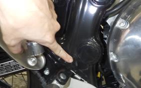 OTHER +ENFIELD ｺﾝﾁﾈﾝﾀﾙGT650 2025