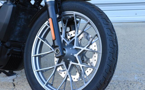 HARLEY RH975 ナイトスター 2023 ZF1