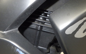 KAWASAKI NINJA 250R 2022 EX250K