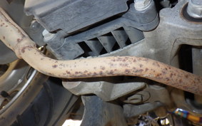 HONDA TACT-4ﾍﾞｰｼｯｸ 2022 AF79