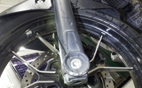 SUZUKI ｼﾞｸｻｰ250 2024 ED22B