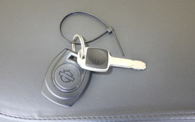 HARLEY RH975 2022