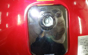 KAWASAKI Z250 Limited 2025 KZ250H