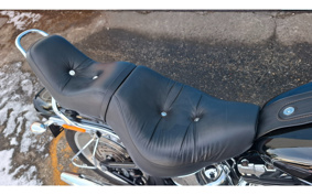 HARLEY FXSTC1340 2010 JL5