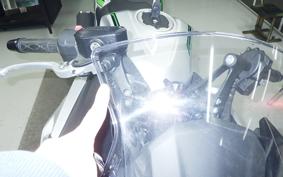 KAWASAKI NINJA7ﾊEVEﾘｯﾄ 2025