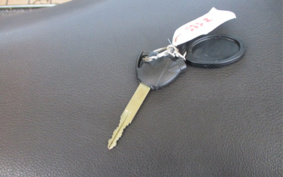 SUZUKI GEMMA250 CJ47A