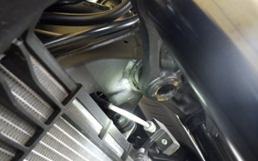 YAMAHA MT-25 A RG74J