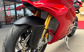 DUCATI PANIGA-REV4S 2025 5D00