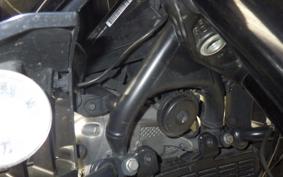 HARLEY ﾊﾟﾝ AMERICA1250S 2021