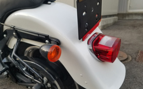 HARLEY HARLEY FLSTFB 2010 JN5