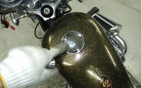 HARLEY XL1200V 2013