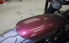 HARLEY XL1200NS 2019