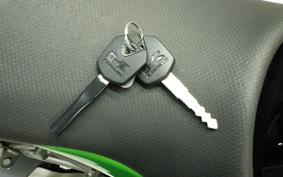 KAWASAKI Z250 SL BR250E