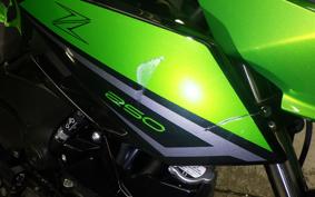 KAWASAKI Z250 Gen.2 2007 EX250Y