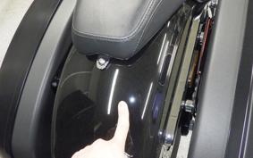 HARLEY FLSB 1750 2023