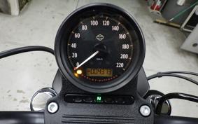 HARLEY XL883N 2021
