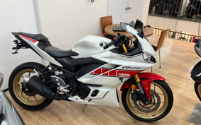 YAMAHA YZF-R25 RG74J