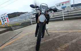 HONDA CRF250L MD47
