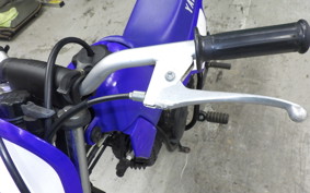 YAMAHA PW50 2016 3PT
