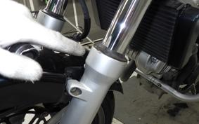 HONDA VTR 250 Gen. 2 MC33