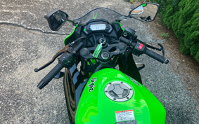 KAWASAKI Ninja 250SL BX250A