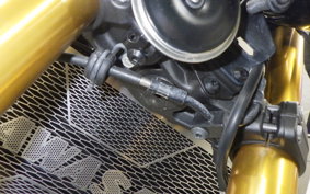 KAWASAKI Z900RS SE 2025 ZR900K