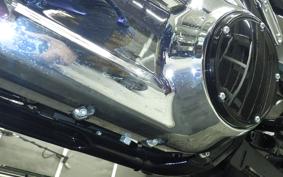 HARLEY FLFB1920 2025