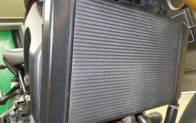 YAMAHA MT-09 2016 RN34J