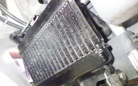 HONDA NS-1 2026 AC12