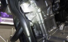HONDA CRF250L 2024 MD47