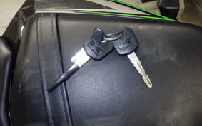 KAWASAKI NINJA 250 2025 EX250L