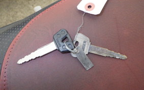 YAMAHA TRICKER DG10J