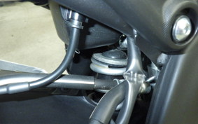 YAMAHA YZF-R15 1999 RG86J