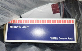 YAMAHA CYGNUSｸﾞﾘﾌｧｽ 2025 SEJ4J