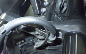 HONDA NX400 2024 NC65