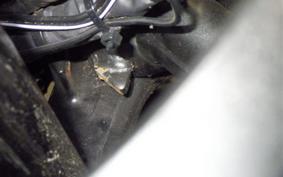 HONDA CBR250RR A MC51
