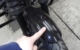 HARLEY XL1200NS 2019