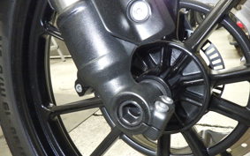 TRIUMPH SCRAMBLER400X 2024