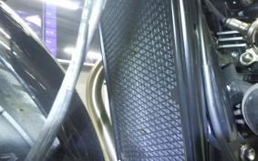 TRIUMPH SPEED TWIN 900 2025