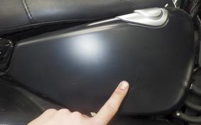 OTHER +HD. XL883N 2015