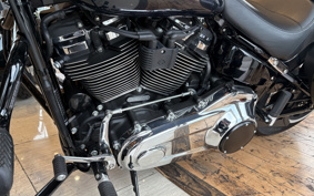 HARLEY FLSB 2022 YMJ
