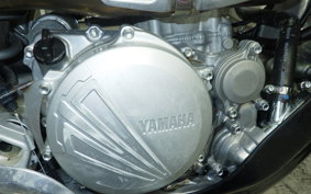 YAMAHA YZ250FX 2023 CG57C