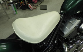 OTHER THUNDER250
