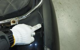 YAMAHA MAXAM 250 SG21J