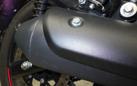 OTHER ENFIELD HUNTER 350 2024