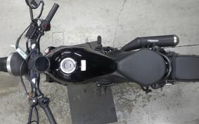 HONDA REBEL 250 2021 MC49